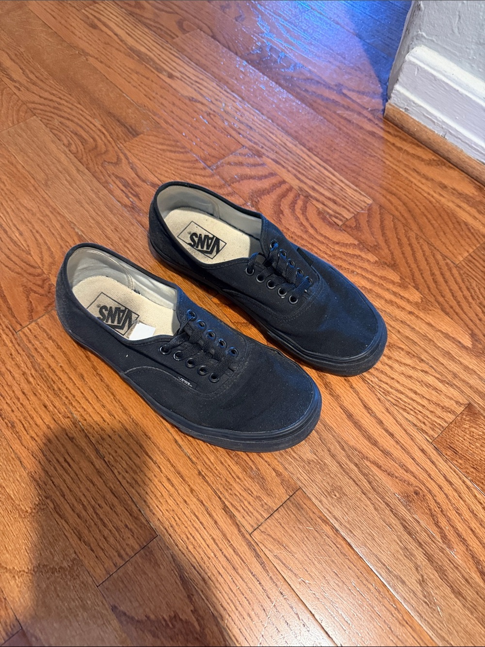 Vans Black Canvas Low-Top Sneakers